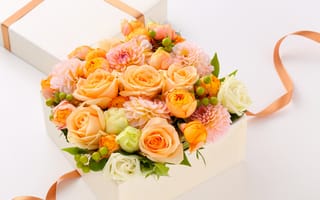 Картинка коробка, подарок, нежные, георгины, roses, bouquets, розы, gift