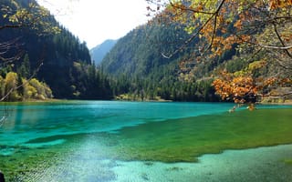 Картинка парк, Jiuzhaigou National Park, ветки, осень, деревья, листья, Китай, лес, горы, озеро