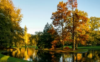 Картинка парк, трава, деревья, Vught, Нидерланды, пруд, солнце, листья