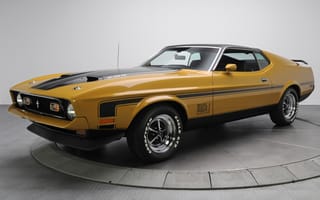 Картинка Ford, передок, Мускул кар, Мустанг, Mustang, 1971, Mach 1, Форд, Muscle car, коричневый