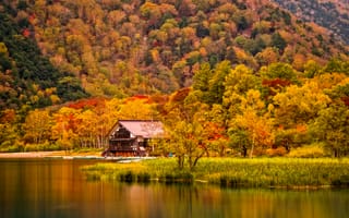 Картинка дом, река, деревья, осень, горы, берег, трава