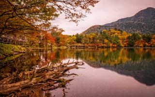 Картинка парк, озеро, осень, деревья, мост, Nikko, горы, Япония