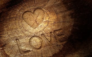 Обои дерево, текстура, любовь, буквы, надпись, трещины, сердце