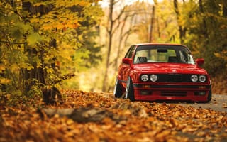 Картинка E30, листья, лес, BMW, дорога, осень