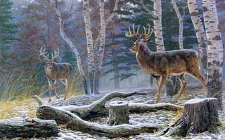 Картинка Al Agnew, противостояние, пень, березы, лес, Confrontation, осень, олени, первый снег, животные, живопись