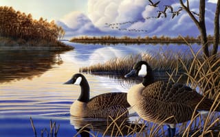 Картинка Jeff Hoff, вечер, озеро, переленые птицы, тихая заводь, живопись, осень, река, стая уток, гуси, Evening Rest, утки