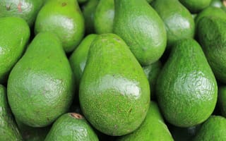 Картинка green, fruit, Indonesia, avocados