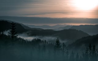 Картинка гора, красота, туман, Норвегия, пейзаж, леса, деревья