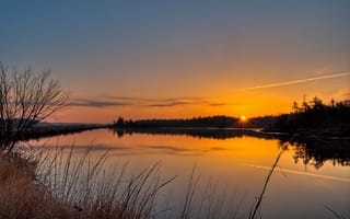 Картинка лес, солнце, озеро, восход, утро, река