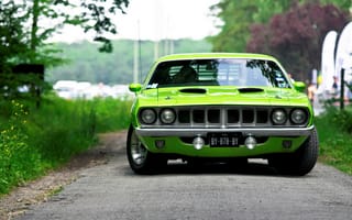 Картинка Plymouth, green, барракуда, Barracuda, вид спереди, muscle car, 1971, салатовый, плимут, мускул кар