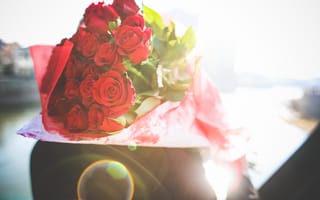 Обои цветы, лепестки, красные, подарок, розы