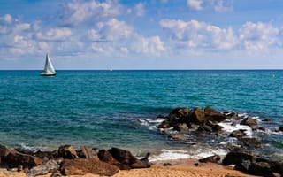 Картинка море, берег, парус, яхта