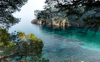 Картинка Испания, море, берег, деревья, Costa Brava, Girona, ветки, бухта, скалы