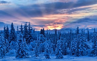 Картинка Аляска, Alaska, горы, снег, зима, деревья