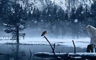 Картинка арт, волк, озеро, сова, снег, зима