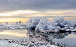 Картинка снег, иней, зима, Германия, деревья, река