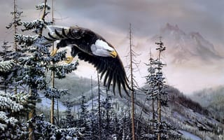 Картинка Christopher B. Walden, белоголовый орел, горы, орел, лес, живопись, птицы, ель, зима, белоголовый орлан, Heaven & Earth