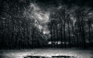 Картинка Black Forest, лес, облака, снег