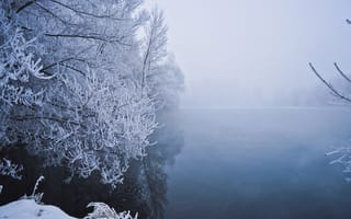 Картинка зима, снег, мороз, trees, Winter, деревья, озеро, туман