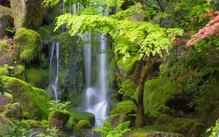 Картинка Japanese Gardens, Portland, деревья, Oregon, Японские сады, Портленд, водопад, камни, Орегон
