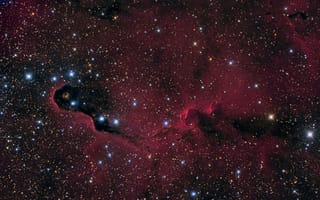 Обои nebula, космос, Elephant's Trunk, туманность
