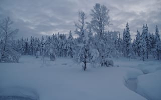 Картинка сугробы, зима, Лапландия, Финляндия, ручей, лес, деревья, снег, Finland, Lapland, Saariselka, Саариселькя