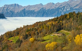 Картинка Швейцария, деревья, лес, солнце, горы, Hasliberg, поляна, облака, осень, домик