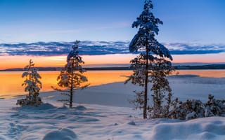 Картинка снег, Швеция, Вермланд, Värmland, озеро, закат, зима, Sweden, деревья