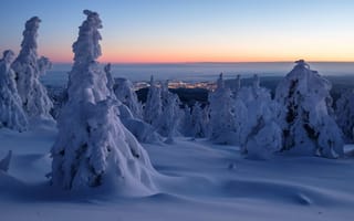 Картинка утро, Harz Mountains, снег, деревья, Саксония-Анхальт, Germany, Германия, Saxony-Anhalt, рассвет, панорама, сугробы, зима, горы Гарц