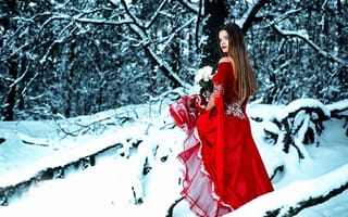 Обои снег, букет, платье, Cold Red, в красном, девушка, лес, зима, розы