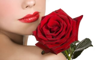 Картинка розы, цветок, цветы, губы, девушка, красная