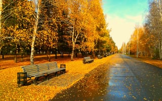 Картинка Парк, золотая осень, листва, скамейка, вечер, Омск, листья