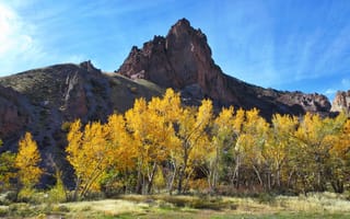 Картинка осень, деревья, скалы, каньон, США, парк, горы, Юта