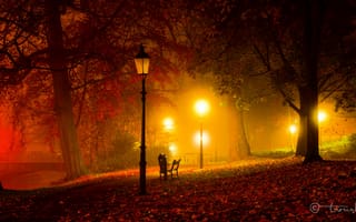 Картинка ночь, осень, сумрак, фонари, свет, скамейка, мост, деревья, парк