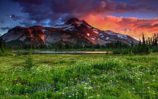 Картинка гора, луг, цветы, трава, небо