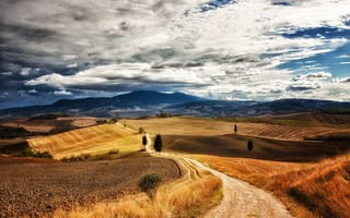 Картинка Италия, деревья, поле, Тоскана, синее, тропинка, небо, холмы, облака