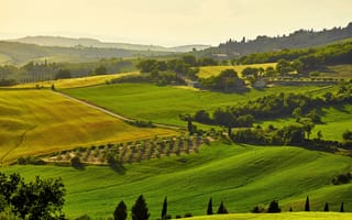 Картинка луга, поля, солнце, домики, деревья, Италия, Тоскана