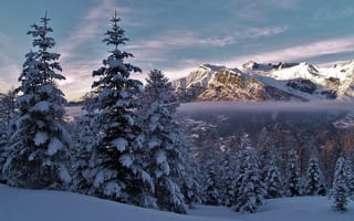 Картинка Альпы, Saint-Léger-les-Mélèzes, снег, Франция, деревья, зима, Alps, Сен-Леже-ле-Мелез, горы, France, ели