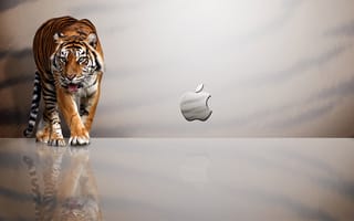 Картинка Apple, отражение, тигр