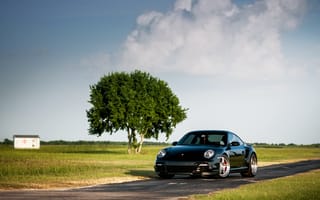 Картинка Porsche, 911, чёрный, порше, небо, 997, front, дерево, Turbo, black