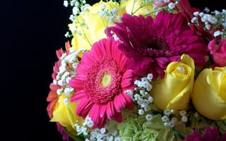 Обои розы, жемчужина, цветы, жёлтые, желтые, цветок, герберы, букет, красивые, жемчуг