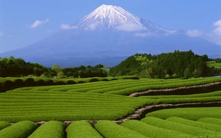 Картинка япония, гора, фудзи