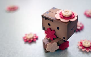 Картинка Danbo, пуговицы, коробок, коробка, amazon, цветы