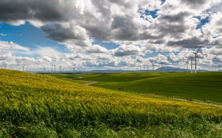 Картинка grass, sky, clouds, wind turbines, nature, fields