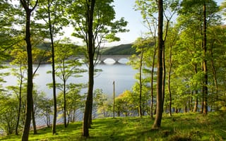 Картинка Derbyshire, трава, река, деревья, Ladybower Reservoir, зелень, пейзаж, мост, водохранилище, Англия