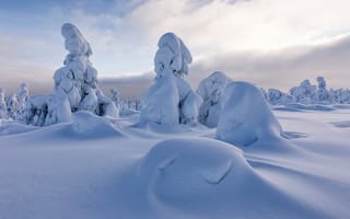 Обои сугробы, Sodankyla, Финляндия, Соданкюля, зима, Finland, деревья, Lapland, снег, Лапландия