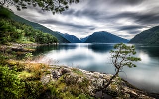 Картинка озеро, горы, деревья, Норвегия, Sognefjord, Dragsviki