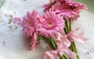 Картинка лента, розовые, pink, герберы, gerberas, бант