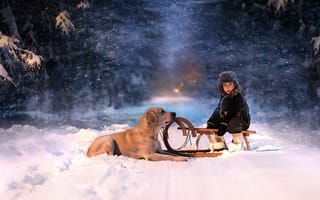 Картинка зима, ребенок, санки, ночь, собака, взгляд, лес, снег