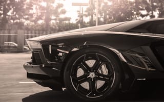 Картинка Lamborghini, black, back, lp700-4, черный, ламборгини, rim, авентадор, aventador, диск, sun, колесо, солнце